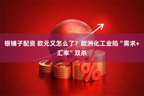 银铺子配资 欧元又怎么了？欧洲化工业陷“需求+汇率”双杀