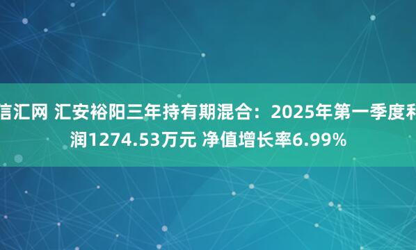 信汇网 汇安裕阳三年持有期混合：2025年第一季度利润1274.53万元 净值增长率6.99%