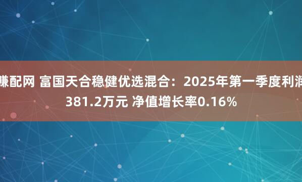 赚配网 富国天合稳健优选混合：2025年第一季度利润381.2万元 净值增长率0.16%