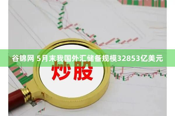 谷锦网 5月末我国外汇储备规模32853亿美元