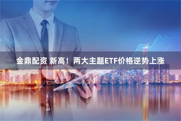 金鼎配资 新高！两大主题ETF价格逆势上涨