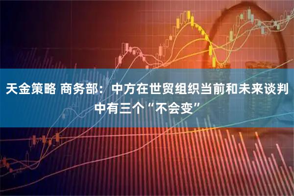 天金策略 商务部：中方在世贸组织当前和未来谈判中有三个“不会变”