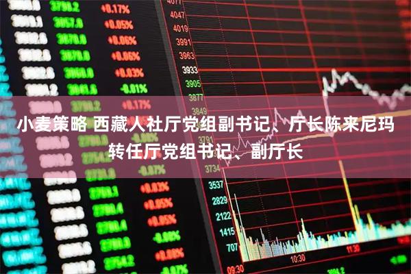 小麦策略 西藏人社厅党组副书记、厅长陈来尼玛转任厅党组书记、副厅长